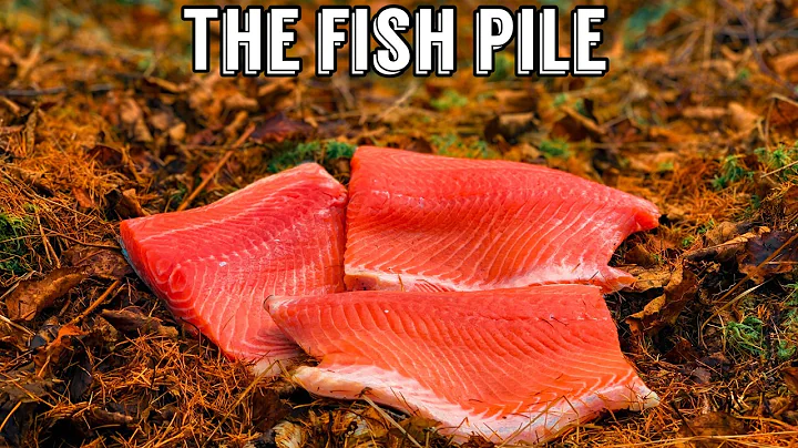 We Left a PILE OF FISH in the Woods. Here's what Happened! Trail Camera: The Fish Pile