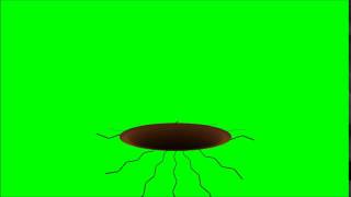Green Screen Effects Sinkhole Free Reuse HD 1080p