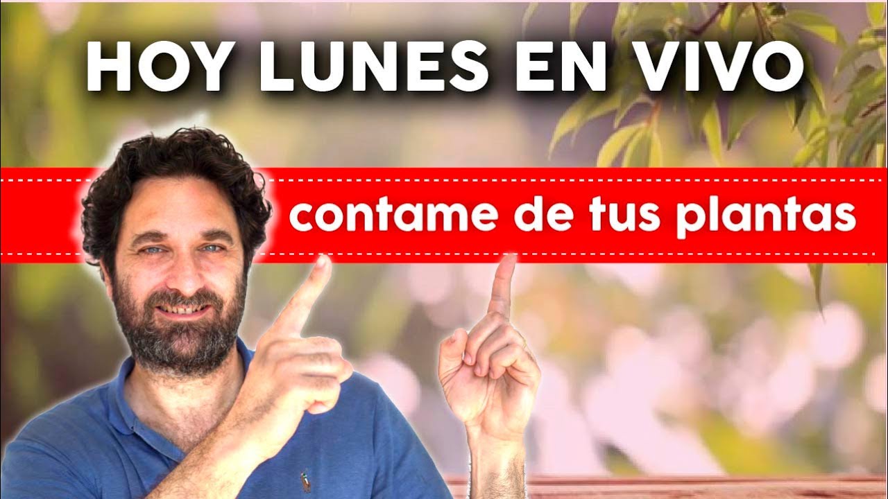 HOY LUNES 6-6-2022  EN VIVO!! RESPONDO TUS CONSULTAS - Horario en la descripci�n.