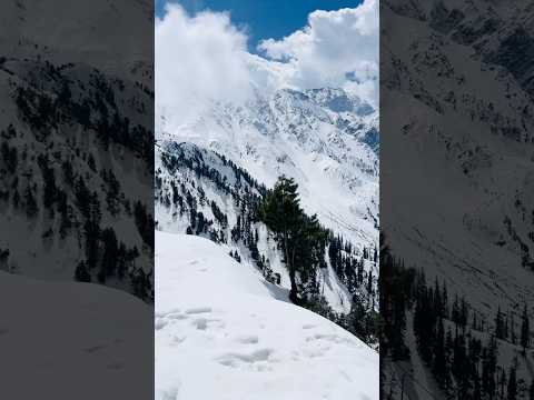 Dhurandar 2 movie  Jaiye Sajana song | kashmir tarip | snow in Kashmir | #dhurandhar2 #jaiyesajana