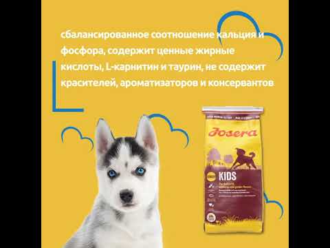Сухой корм Josera (Йозера) KIDS