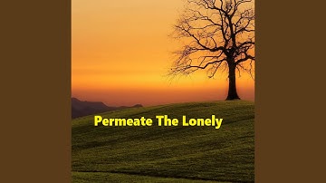 Afternoon This Weekend