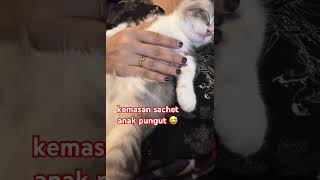 kemasan sachet 🥰