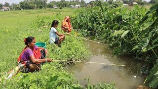 Video memancing || tiga wanita menangkap ikan besar dengan kail di air saluran lumpur desa #video #fish