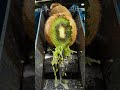 🍉 Satisfying Fruit Cutting ASMR | Relaxing Sounds for Sleep 😴#viral #amazing #asmr #asmrsounds