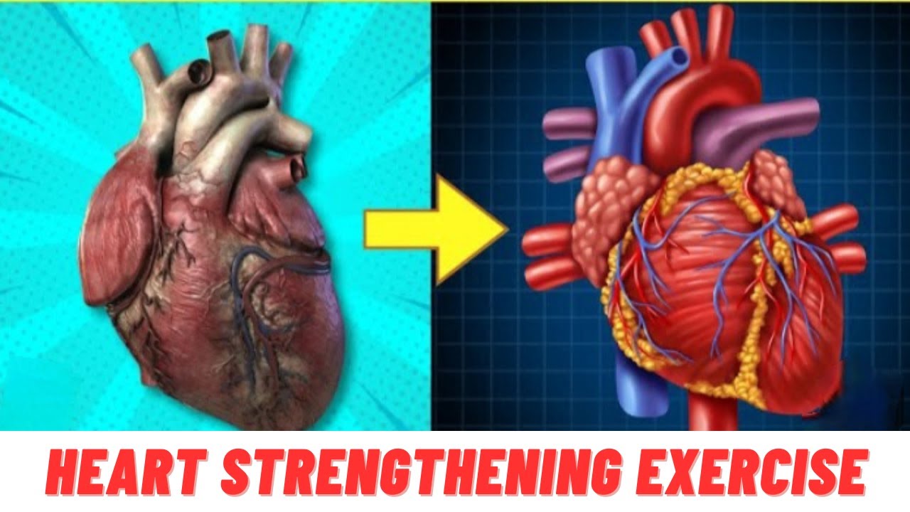 Heart Strengthening Exercises | Improve Cardiovascular Health - YouTube