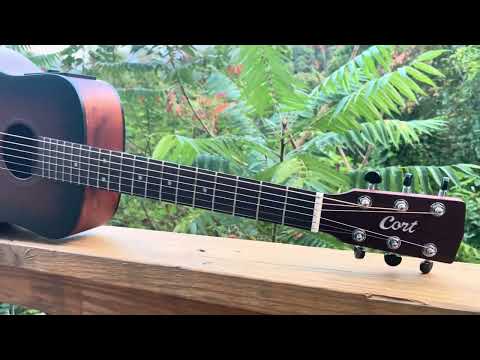 Cort Go - a 3/4 travel guitar that does a lot with its unique pickup!