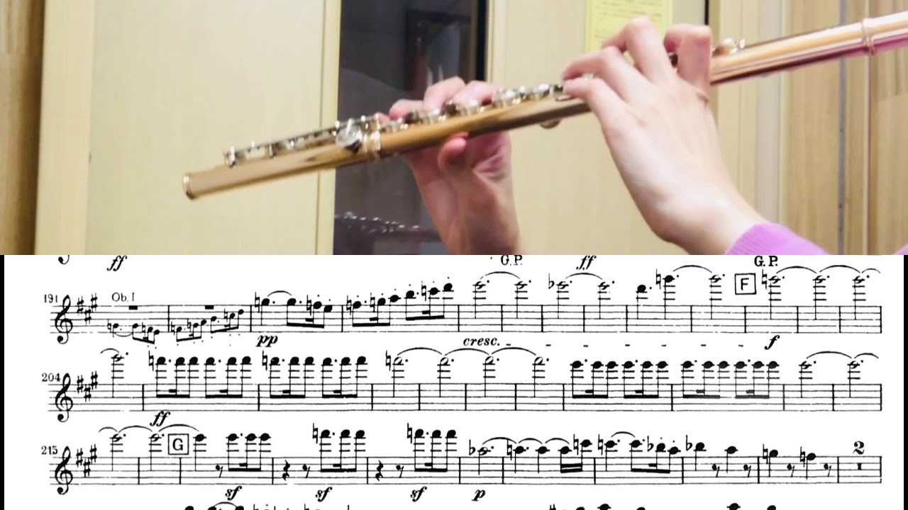 フルート名曲・マイナスワンCDセット・ヨーロッパのオーケストラ演奏 Beethoven Symphony No.7 Flute 1st(1mvt) - YouTube