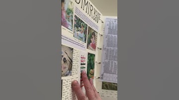 IGCSE Sketchbook/portfolio recent pupils example/CIE 0400