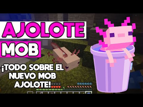 ¡Minecraft AJOLOTE! (Nuevo MOB de Minecraft 1.17)