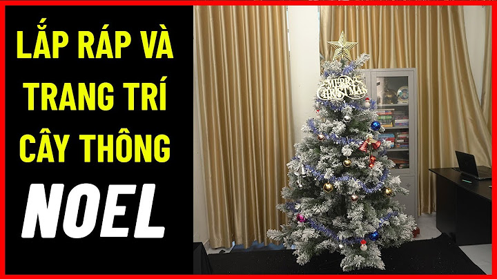 Cây thông cao 8m thì trang trí thế nào