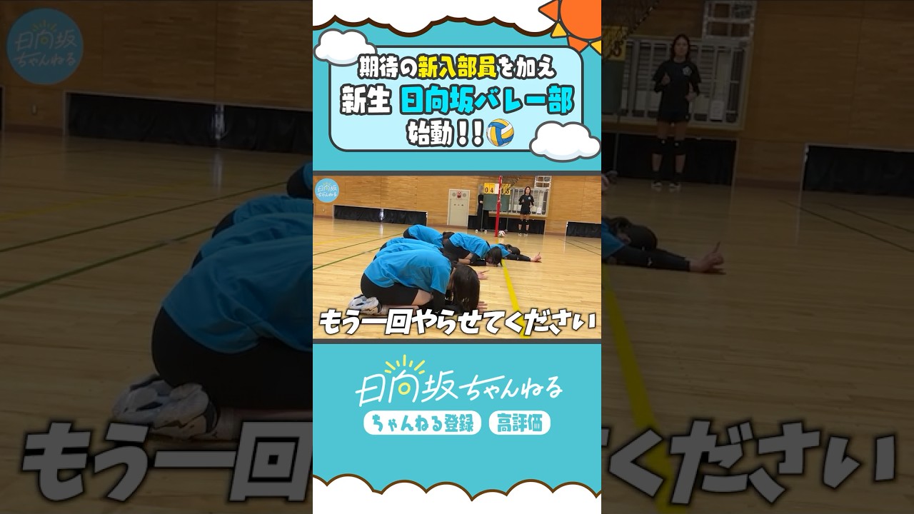 期待の新人🐰✨ #shorts #日向坂46 #日向坂ちゃんねる