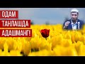 Абдулазиз Домла "ОДАМ ТАНЛАШДА АДАШМАНГ" | Abdulalziz Domla "ODAM TANLASHDA ADASHMANG"