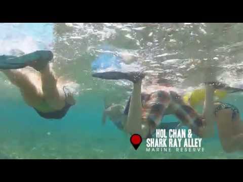 Chuck & Robbies Hol Chan & Shark Ray Alley Trip