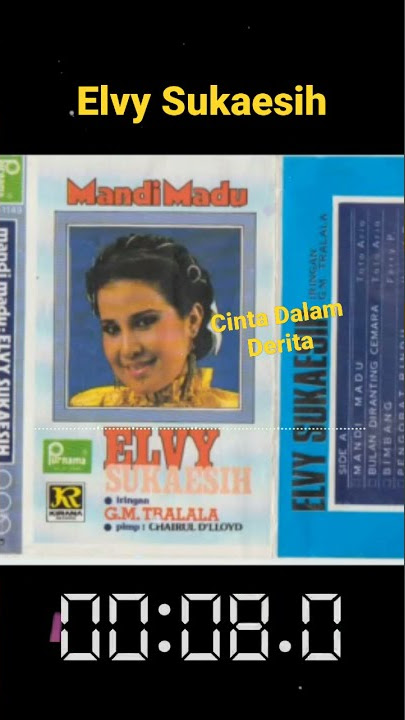 Cinta Dalam Derita - Elvy Sukaesih