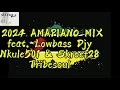 2024 Amapiano Mix feat. Lowbass Djy, Nkulee501 & Skroef28, Tribesoul (Sgidongo) ! XclusivMusiQ
