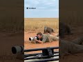Is bro risking his life wildly or not? #shorts #youtubeshorts