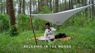 Picnic in Pine Forest, Peaceful Atmosphere in Nature, Making Tea and Snack, ASMR