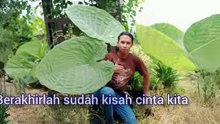 Lirik Lagu Malaysia (TERPAKSA AKU LAKUKAN) #liriklagu #malaysia #nostalgiajamandulu #sultan #music