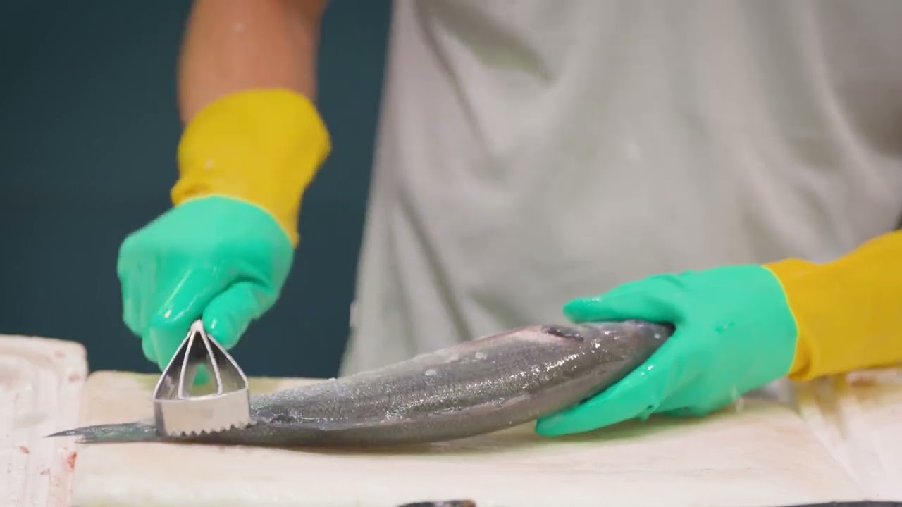 Peixateria Ramón - Premi Comerç de Barcelona (2025)