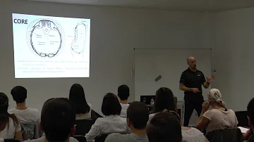 Como tornar o currículo mais atraente?