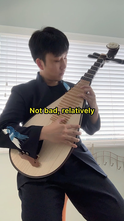 $1 VS $10,000 Chinese Instrument #aylex #chineseflute #dizi #sanxian #erhu #pipa #guzheng #musician
