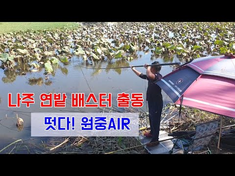 가장 핫한 배스터~ 한방을 보여주마!!!
