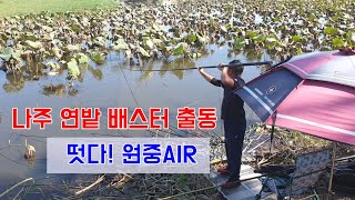 가장 핫한 배스터~ 한방을 보여주마!!!