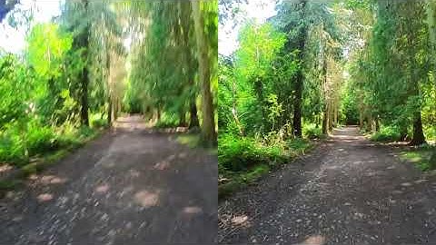 Insta360 GO 2 FlowState Stabilization On vs Off