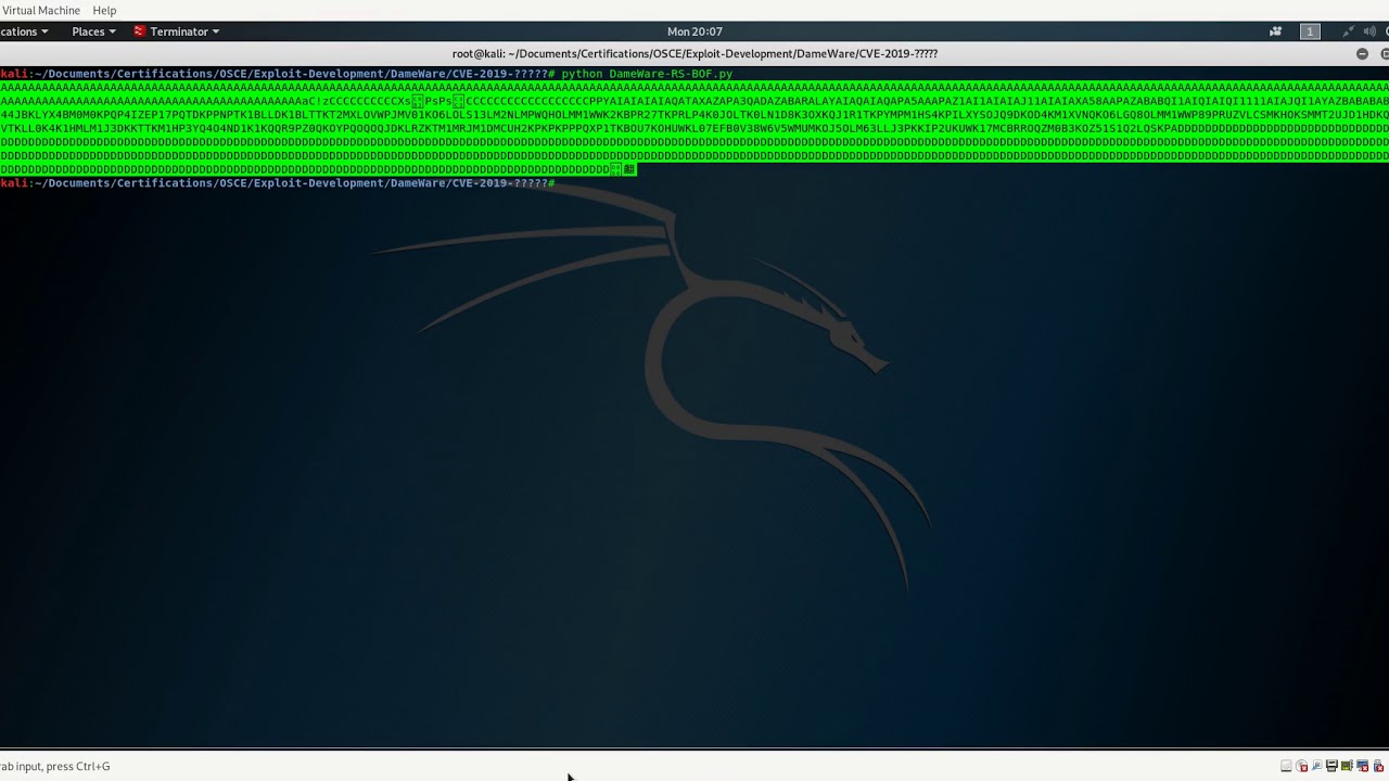 DameWare Remote Support Privilege Escalation