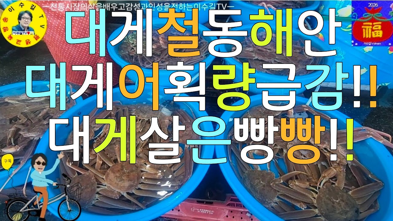 水産市場 동해시묵호항새해첫방문 대게상태와시세, 배오징어시세, 중앙시장생선전아낙네들삶 견문록♡삶2477/Mukho port fish market, korea