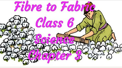 Class 6 Science Chapter 3 #fibretofabric #plantfibres #cotton #ginning #spinning