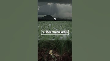 The Power of Colour Grading! #shorts #colourgrading #colorgrading #power #amazing #shortsvideo