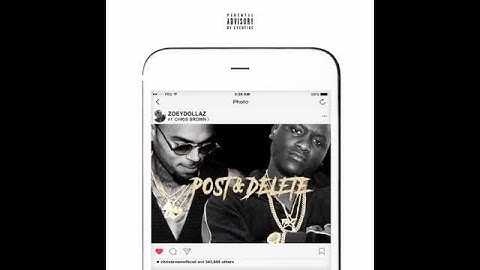 Chris Brown - Post & Delete (Snippet CDQ)