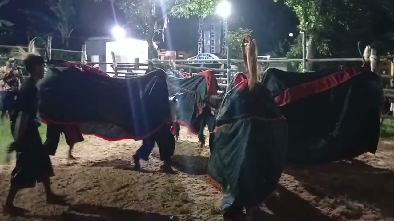 Putro Maheso Karanglois #opening 