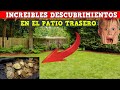 5 Increíbles descubrimientos en el patio trasero