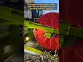 99% of People Can’t Stop Watching This Machine! 🤯🌾
