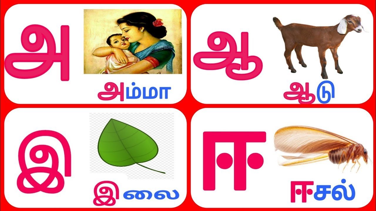 உயிர் எழுத்துக்கள்| அ ஆ இ ஈ| தமிழ் எழுத்துக்கள்| அ அம்மா ஆ ஆடு | Tamil ...