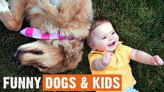 Funny Cute Dogs And Kids - Best Friend Forever by I Love My Dog 86 views 4 years ago 5 minutes, 18 seconds