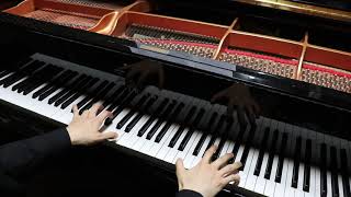 Tchaikovsky - Swan Lake - four little swans (Piano Cover) / Pas De quatre