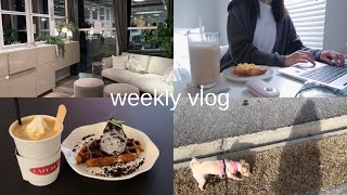 (eng/kor) vlogㅣpeaceful life in new apartmentㅣwork from homeㅣikea hovet mirrorㅣcroffle cafe