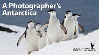 A Photographer&#39;s Antarctica - A 10 day photography trip to Antarctica during prime January dates