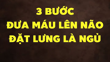 3 Bước Đơn Giản Để Đưa Máu Lên Não Và Đặt Lưng Cái Là Ngủ Ngon Một Mạch Đến Sáng | HYT3