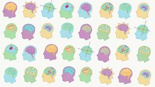 TVB on EBRAINS: The Virtual Brain integrated workflows on EBRAINS (Short Version)