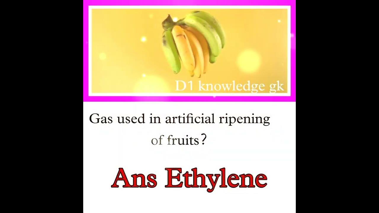 Gas used in artificial ripening of fruits? Ethylene YouTube