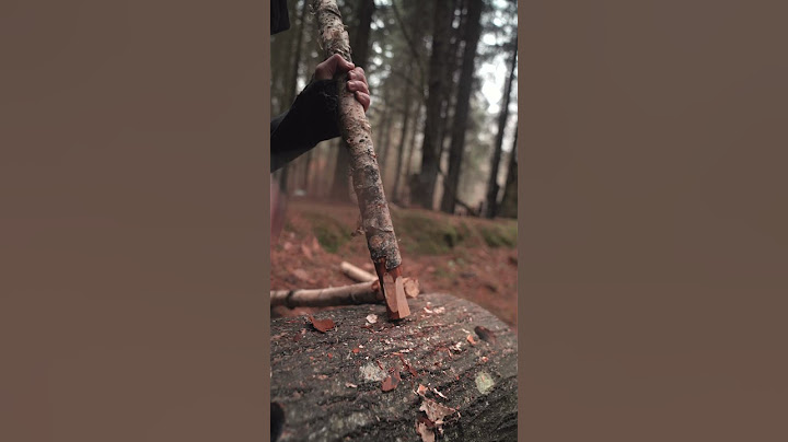 The BIGGEST Folding Saw in the WORLD! Silky Katanaboy 1000!