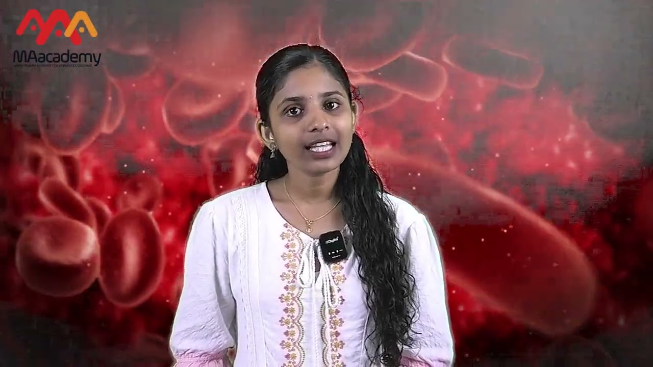 Understanding Blood and Its Components | Detailed Explanation for Students  