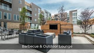 Woodview Apartments Apt 104 Video Tour