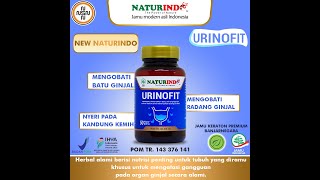 Herbal Obat URINOFIT Mampu Mengobati Sakit Ginjal Batu Ginjal Gagal Ginjal Ginjal Bocor