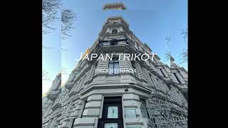 [FREE] Pashanim x Sampagne Type Beat - Japan Trikot